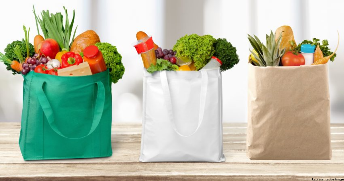 Top 7 Eco-friendly Substitutes for Plastic Bags